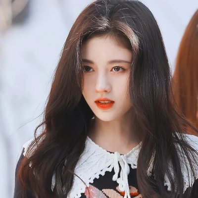 我的老婆是只猫 封面