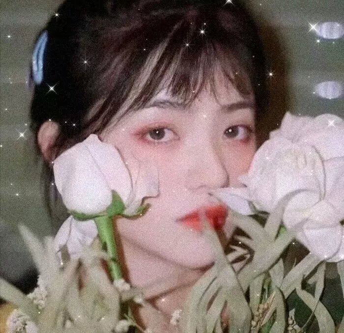 恋爱中的宝贝 封面
