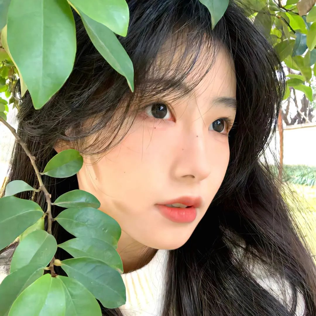 圣诞多美好 封面