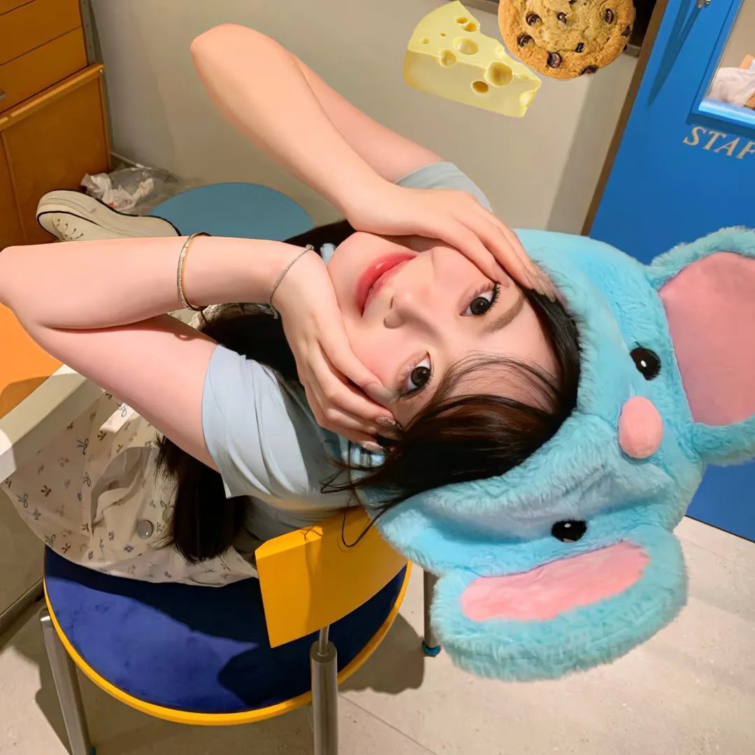 特洛伊艾迪 封面